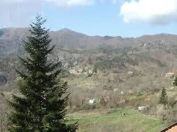 Hotel Del Porcino 2*